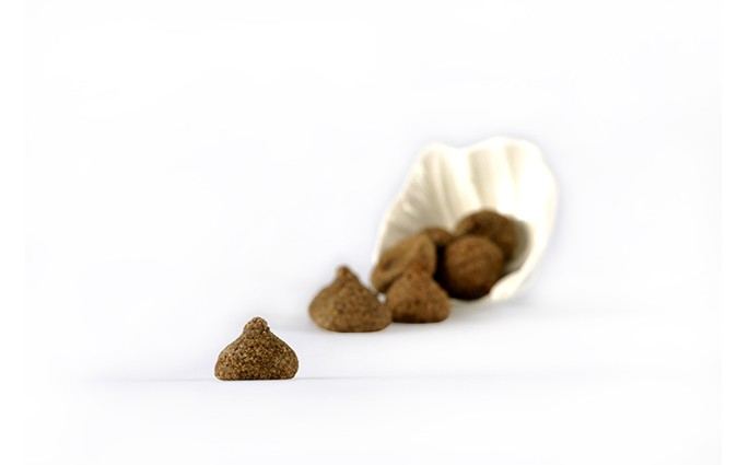 Golosalba Dolci Artigianali Alla Nocciola Piemonte IGP