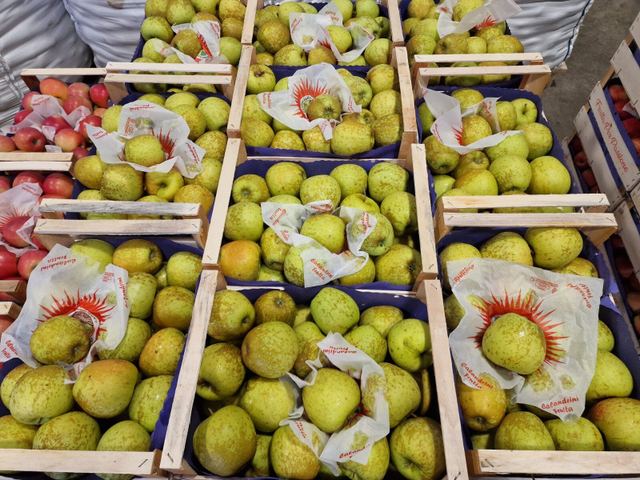 CALANDRINI FRUTTA