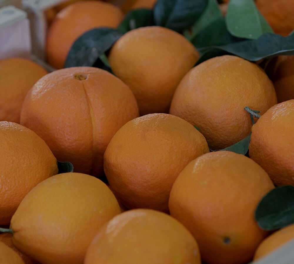 Frutta di stagione