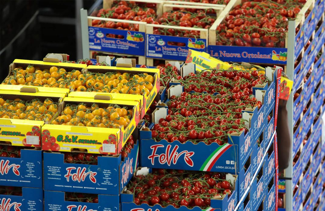 Azienda FE.VI. Frutta