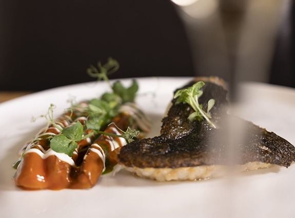RADIX CUCINA CONTEMPORANEA Di Portesi Riccardo