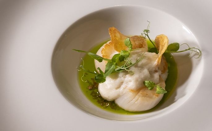 RADIX CUCINA CONTEMPORANEA Di Portesi Riccardo