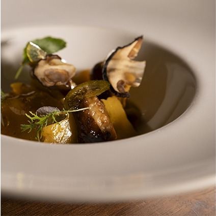 RADIX CUCINA CONTEMPORANEA Di Portesi Riccardo