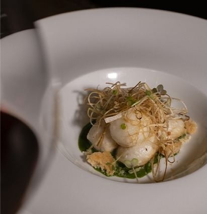RADIX CUCINA CONTEMPORANEA Di Portesi Riccardo