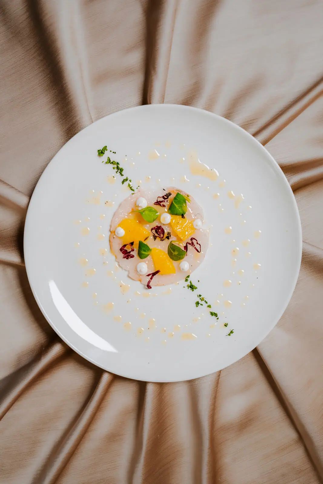 Tartare di pesce del Ristorante Cian dal 1976