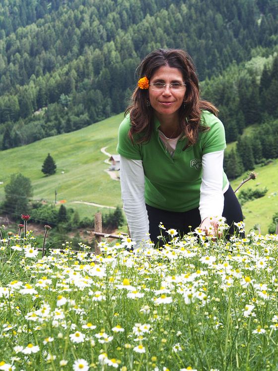 Azienda Agricola Erbevive
