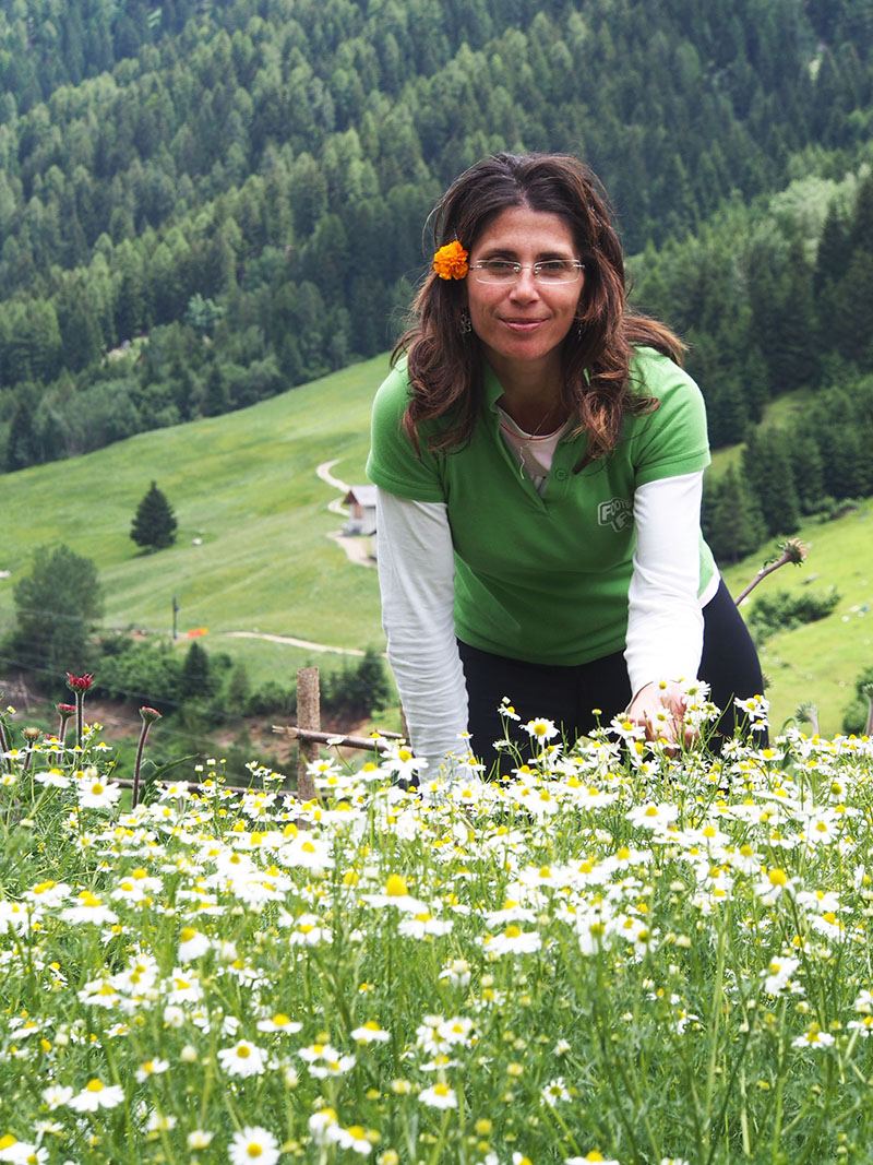 Azienda Agricola Erbevive, coltivazione biologica di piante officinali a Trento