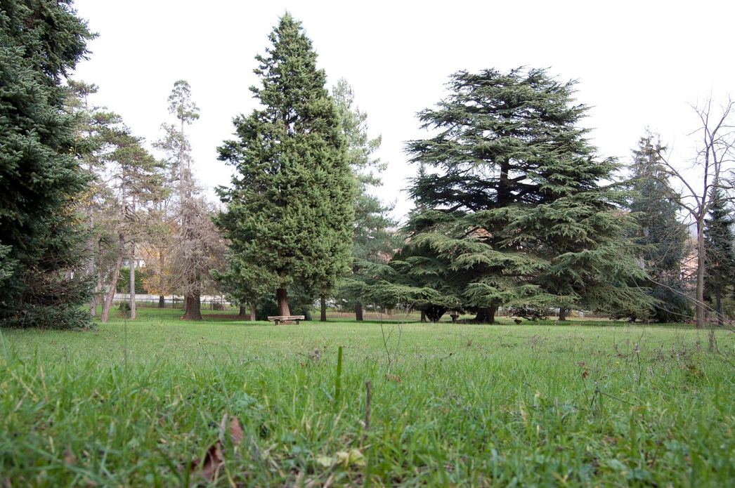 Area relax nel parco del B&B Le Macine Relais
