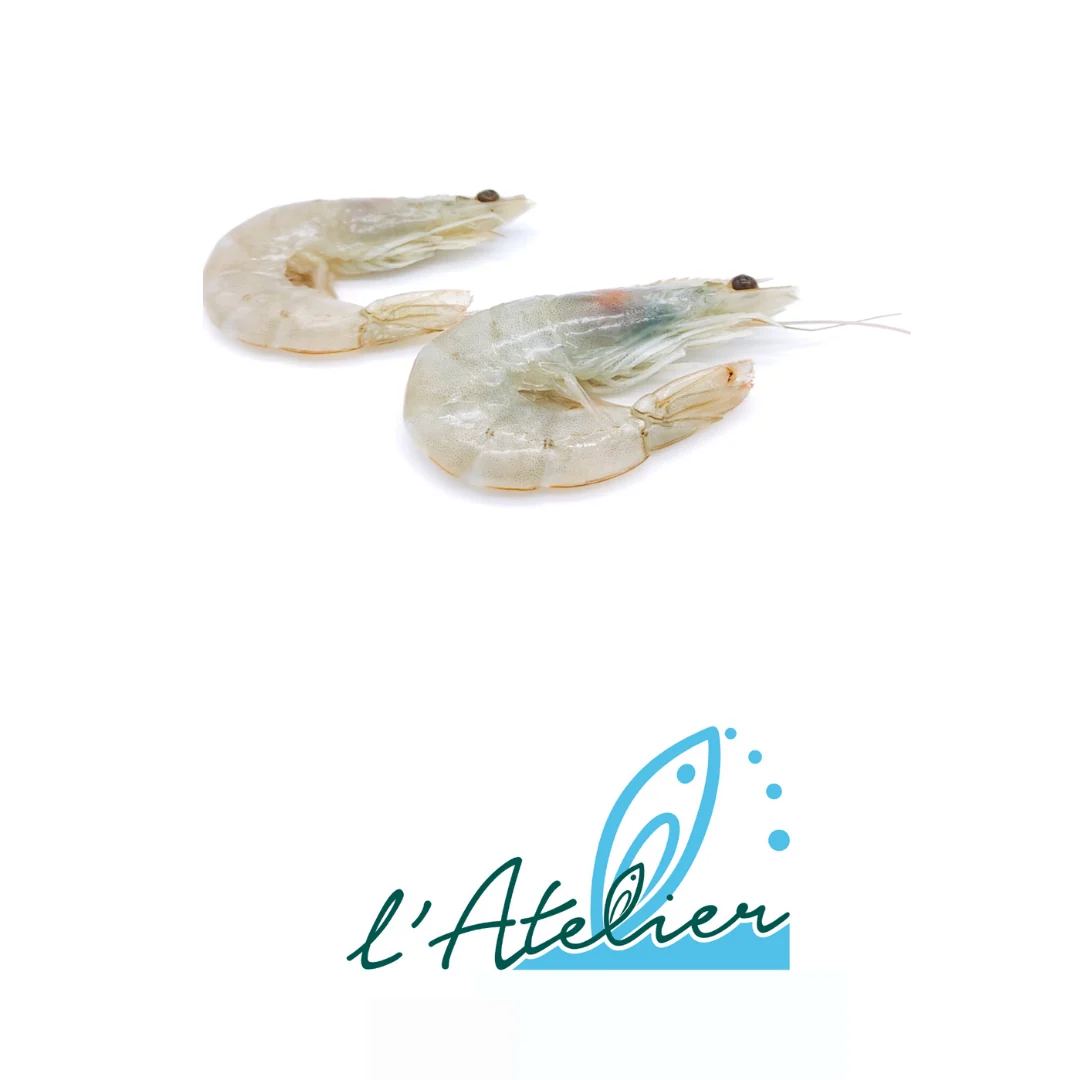 Gambero rosso di Mazara del Vallo della linea luxury L'Atelier Del Pesce