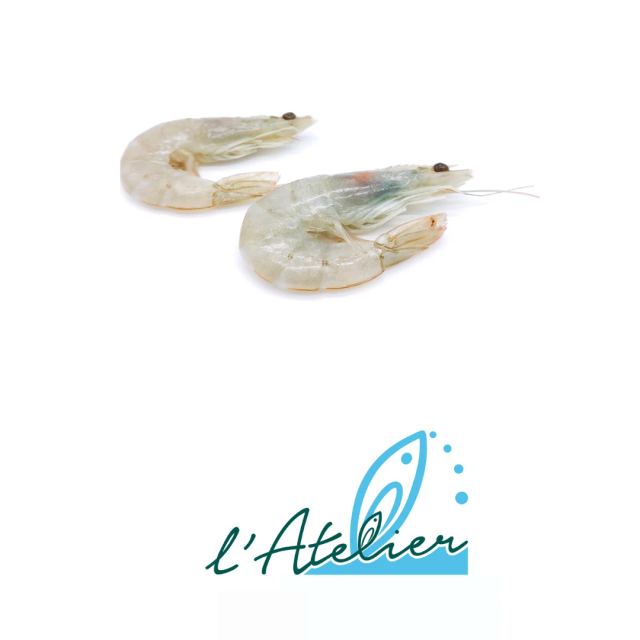L'Atelier Del Pesce