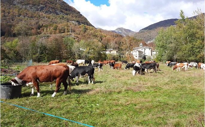 Azienda Agricola ''La Ghiviola'' Di Ragozzi Agnese