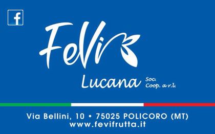 Fevi