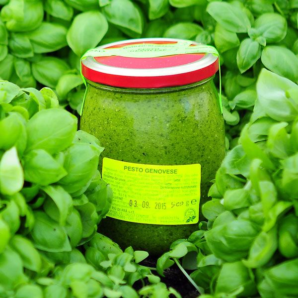 Glas Pesto alla Genovese im Familienformat, 500 Gramm, von Pesto Più Di Pra