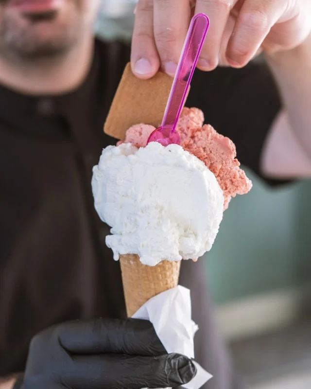 Cono gelato artigianale del Garden Bar