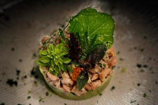 Gamberetti con avocado e caviale rosso de Il Divino Di Milano