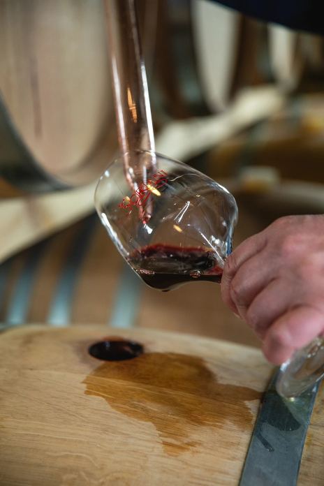 Versamento del vino nel calice durante la degustazione presso l'Azienda Agricola I Scriani