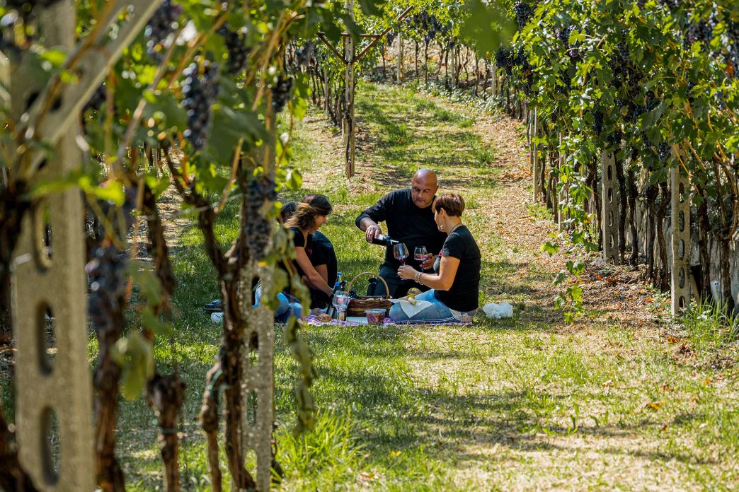 Degustazione guidata nella cantina dell'Azienda Agricola I Scriani a Fumane