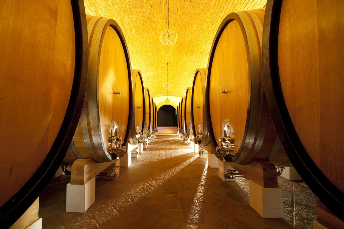 Sala botti con barriques di rovere francese e slavone nella cantina I Scriani
