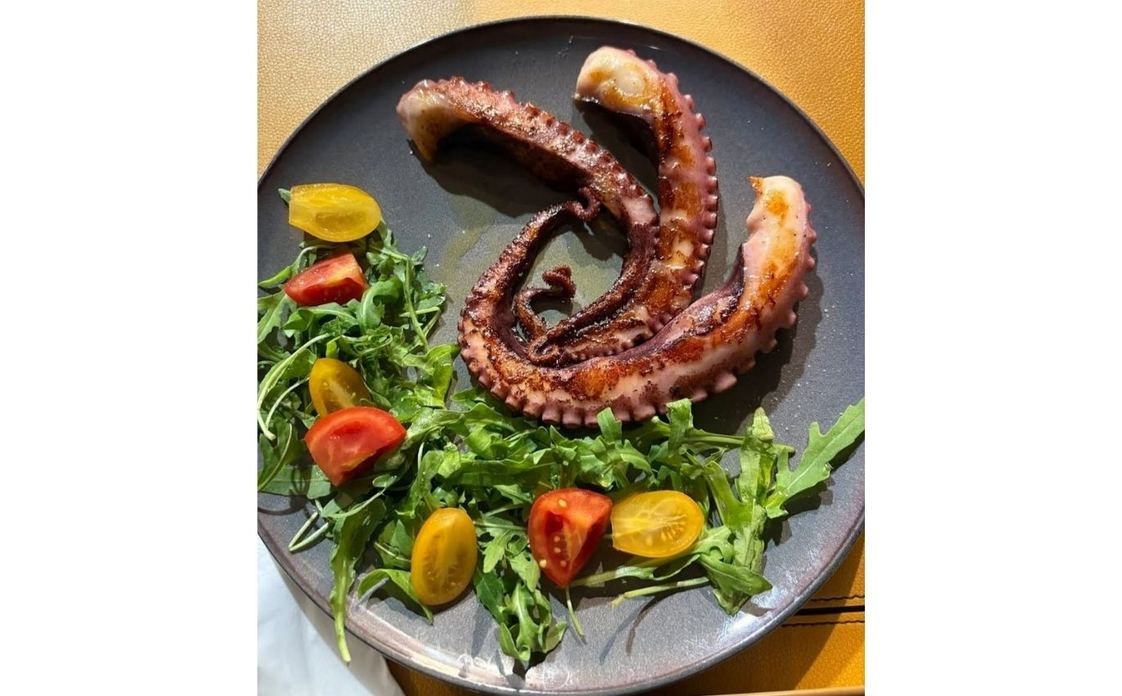Vicofood 3.0