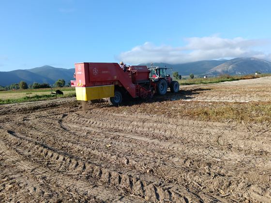 AZIENDA AGRICOLA RAFFAELE ALFONSO