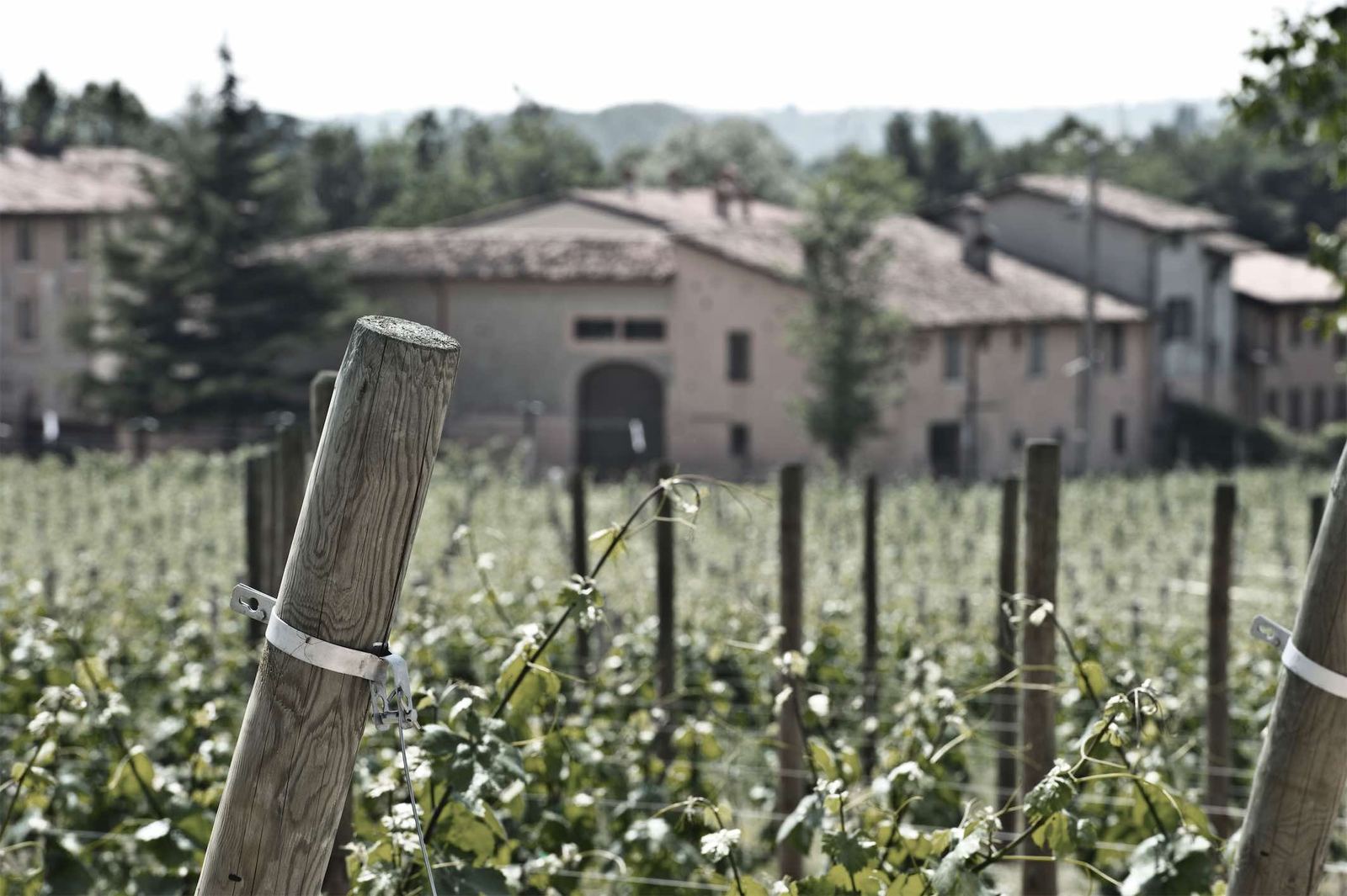 La cantina moderna dell'Azienda Agricola Colli Vaibò
