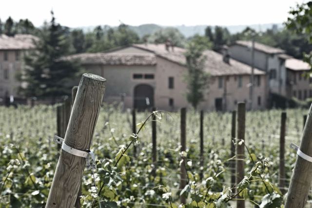 Azienda Agricola Colli Vaibò