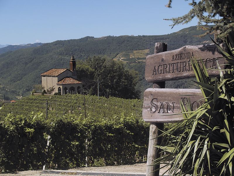 Panorama sulle Langhe dall'Agriturismo San Bovo