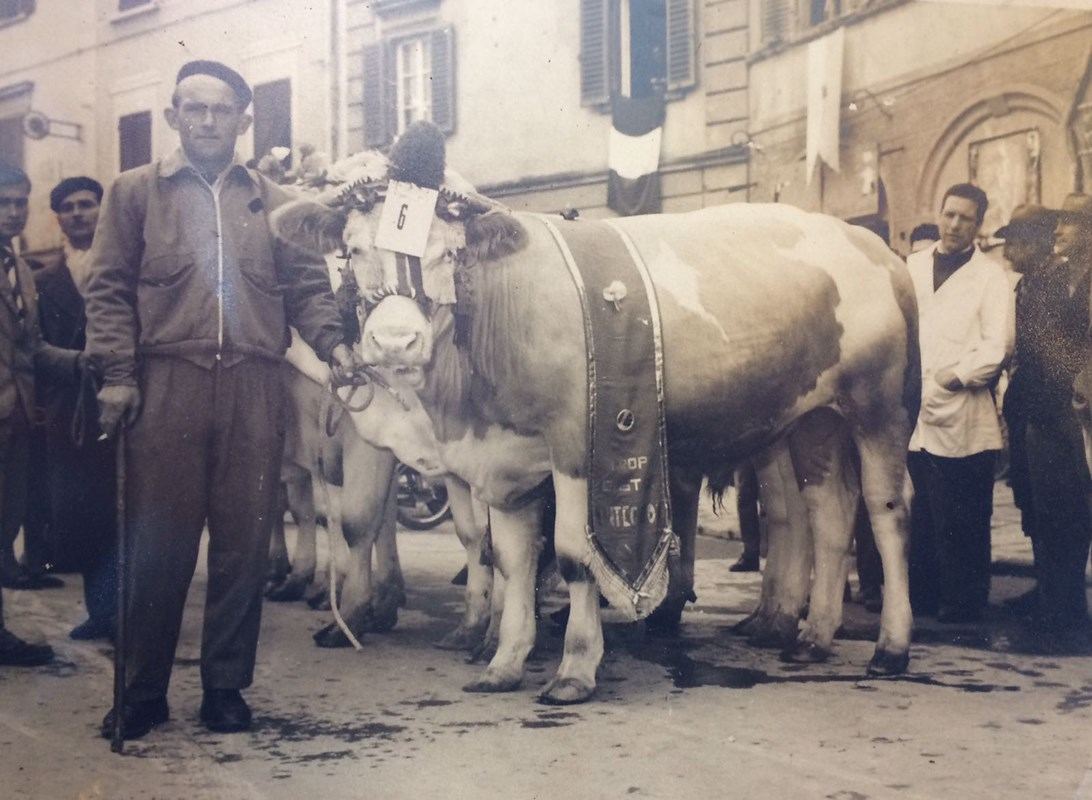 Spazio degustazione di Macelleria Gastronomia Lo Scalco