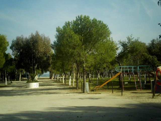 Area camping con piazzole del Lido Salpi tra pini ed eucaliptus