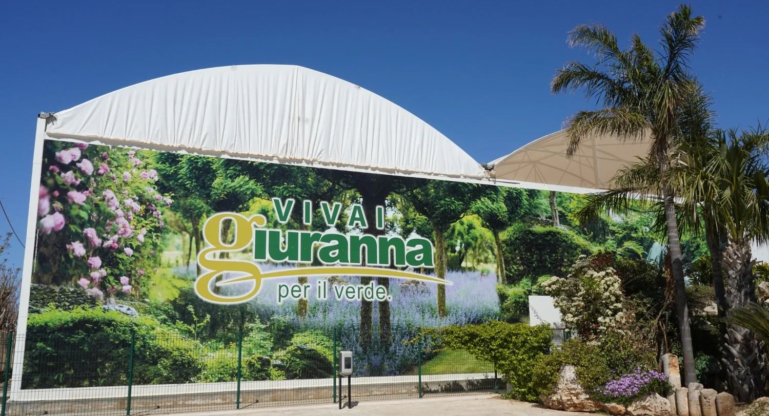 Vista del vivaio Giuranna a Parabita