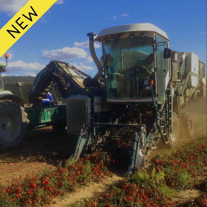 Raccoglitrice pomodoro RPL 2025