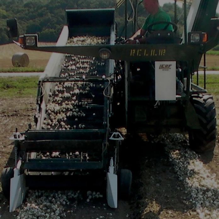 Raccoglitrice cipolle RCL 2022