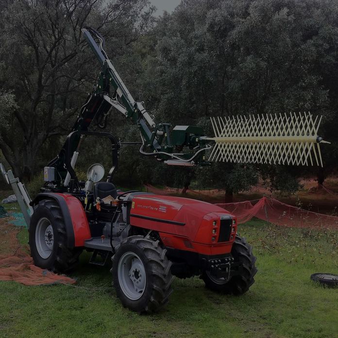 Vibratore bacchiante OLIVE ONE