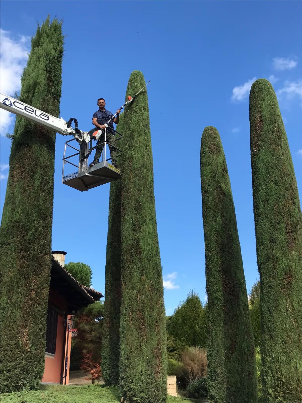 Manutenzione programmata del verde, servizio Visione Sostenibile Torino