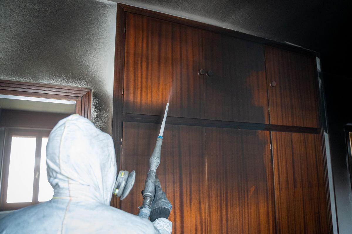 Bonifica post incendio con tecnologia criogenica di Foregoventura - Iceblasting