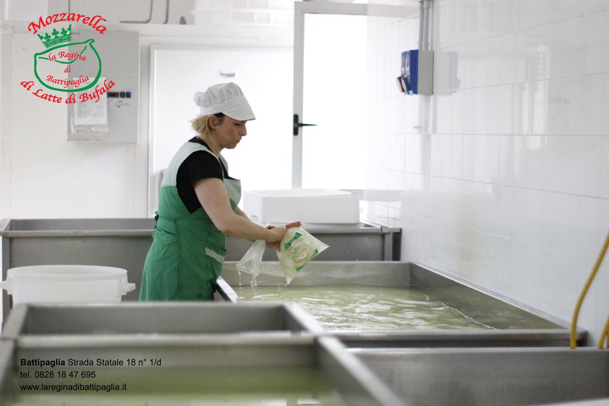 Mozzarella fresca in salamoia al Caseificio La Regina di Battipaglia