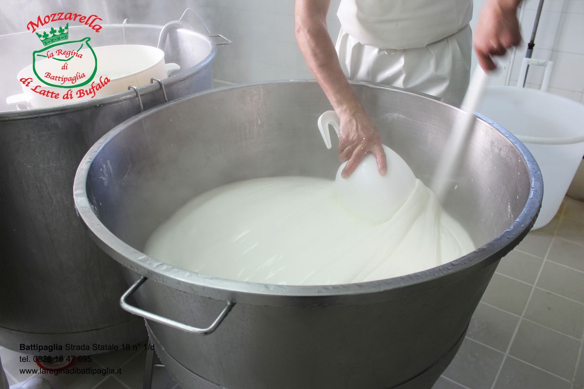La fase di filatura della mozzarella al Caseificio La Regina