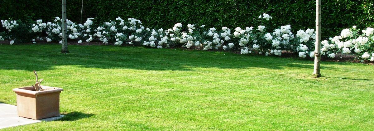 Manutenzione giardini professionale GANDOLFI GABRIELE a Noceto e Parma
