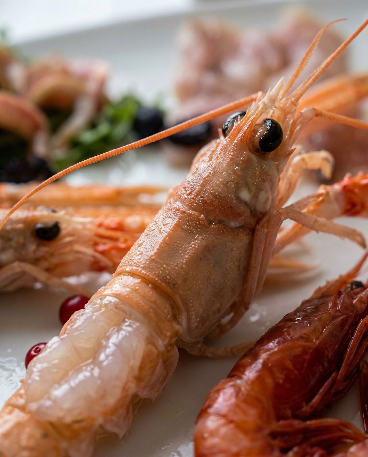 Crudo di mare con pesce del mercato ittico di Cesenatico
