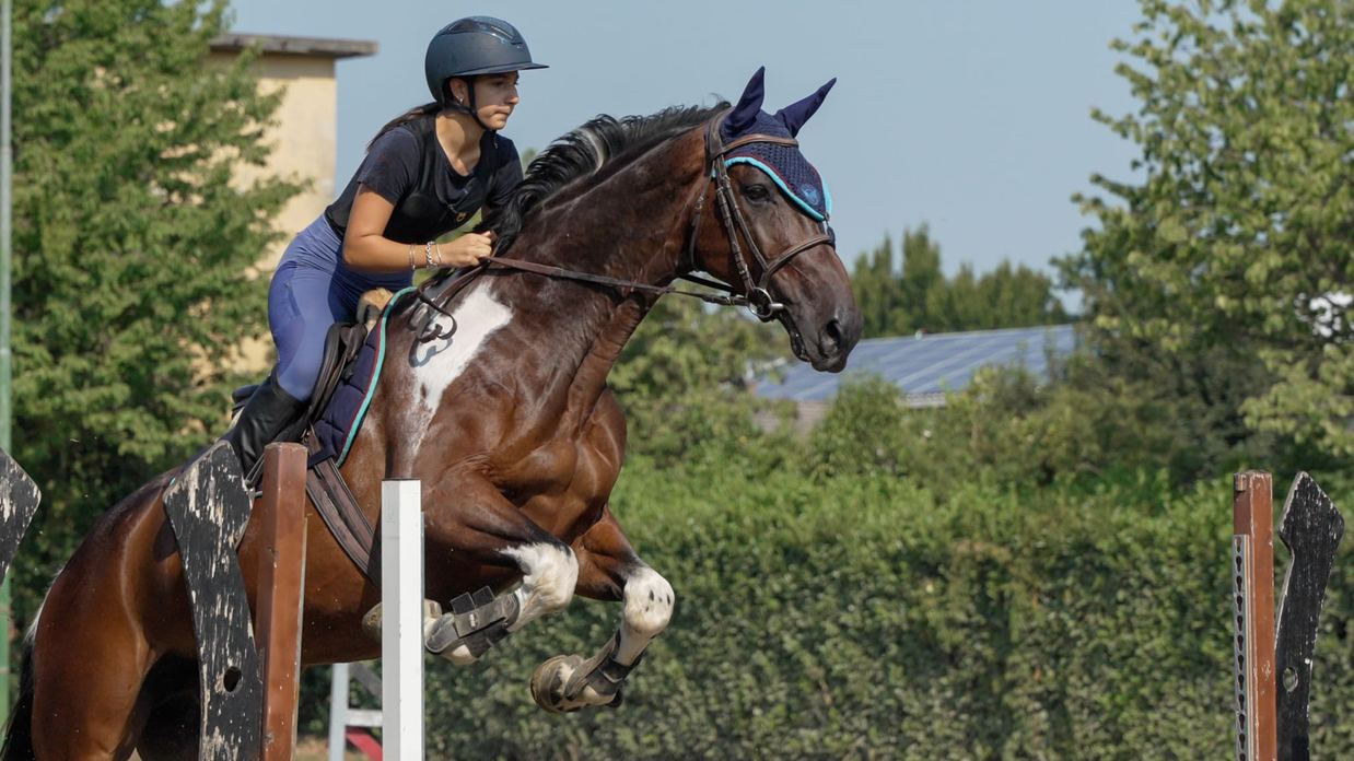 Attività equestri nel maneggio della Scuderia Le Ali