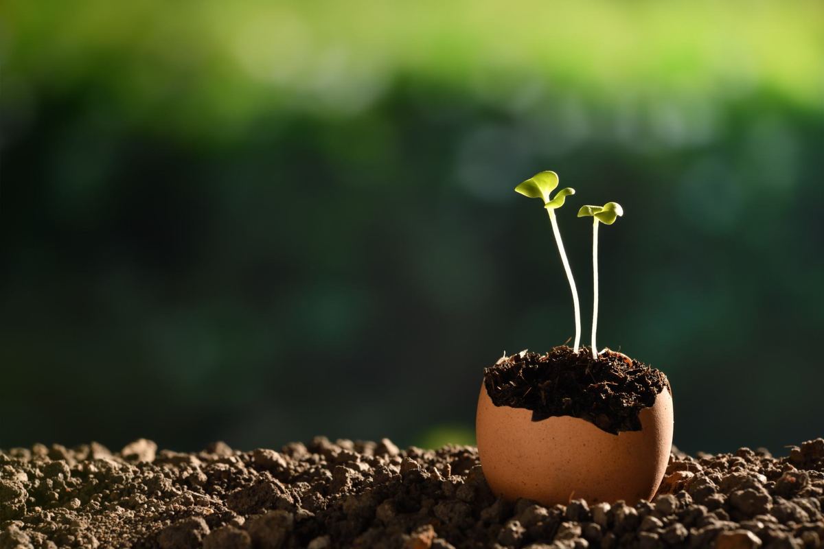 Trattamenti cutanei professionali da Tagliati X il Successo Perugia