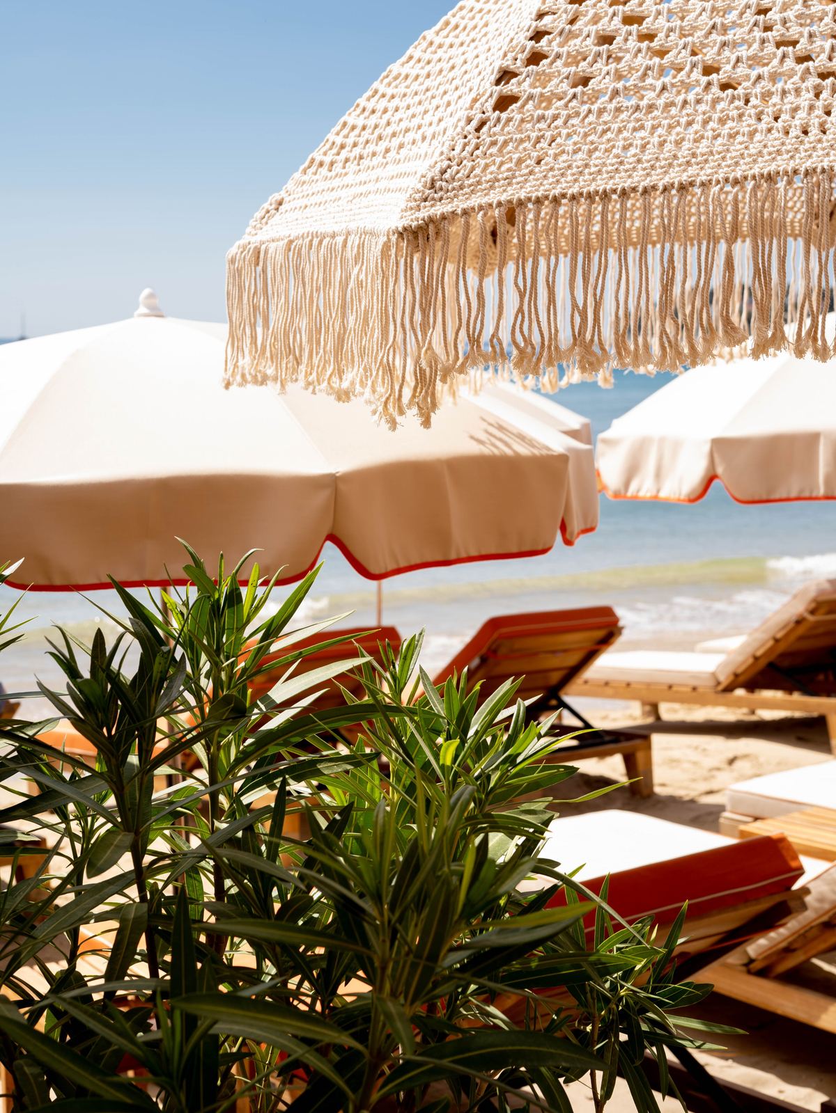 Atmosfera serale al Bellini - A La Plage