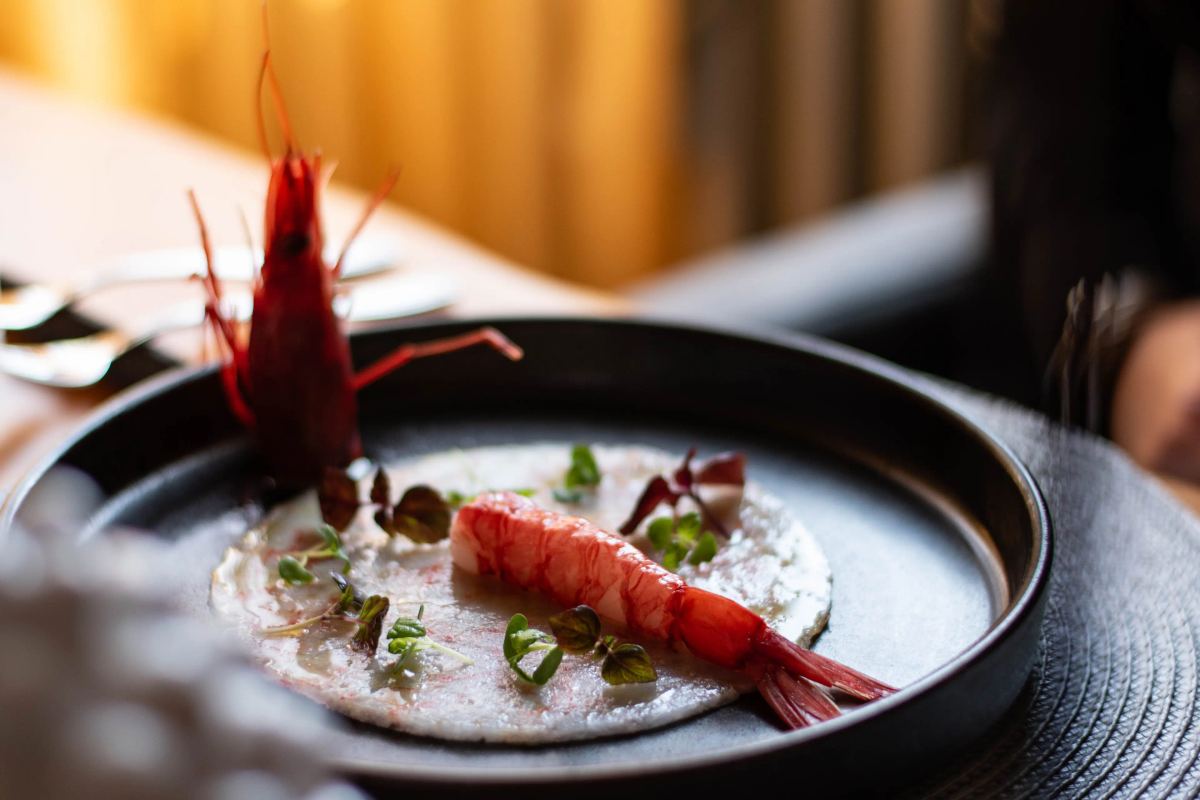 Carpaccio di gambero rosso del ristorante Impronta