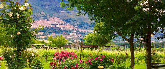 AGRITURISMO BOSCO FARNETO