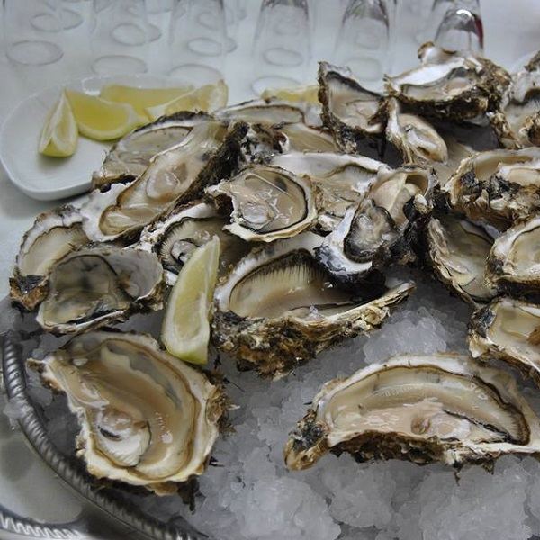 Ostriche alla Trattoria Da Beppe