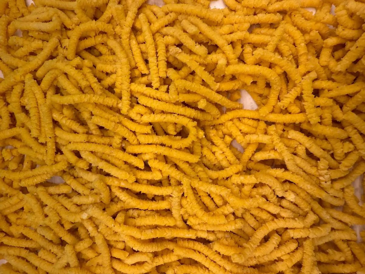 Passatelli freschi di Bottega della Pasta dal 1986