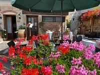 Summer garden of Ristorante Tre Fonti