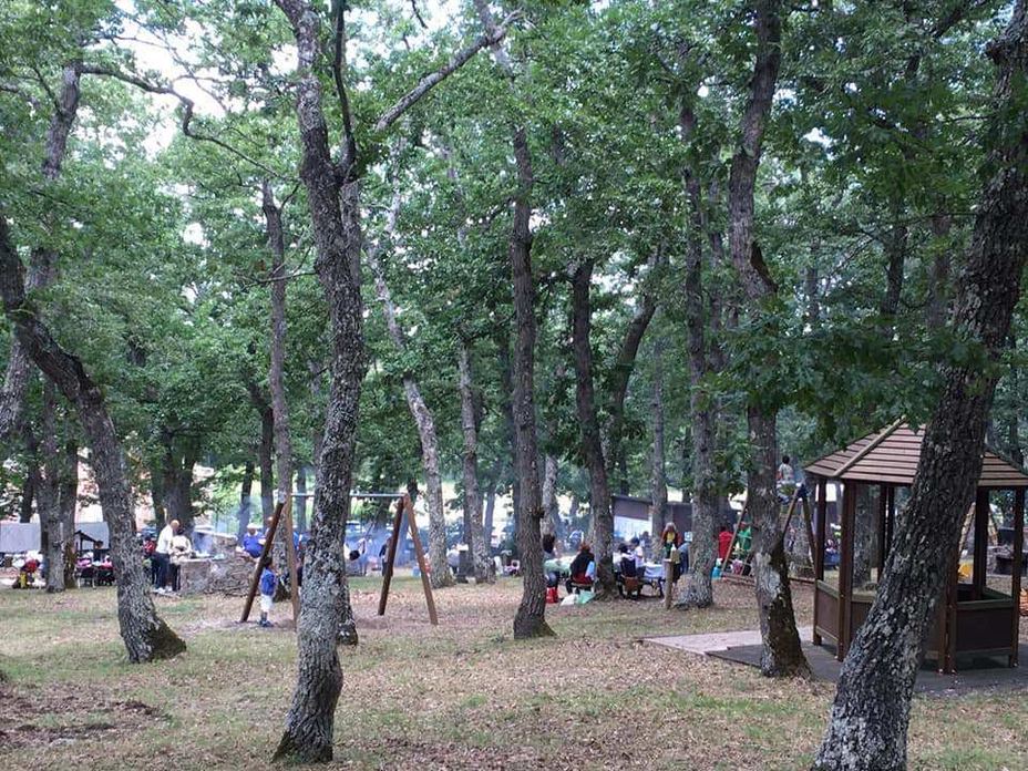 Gazebo e area ristoro del Parco Avventura Albano di Lucania