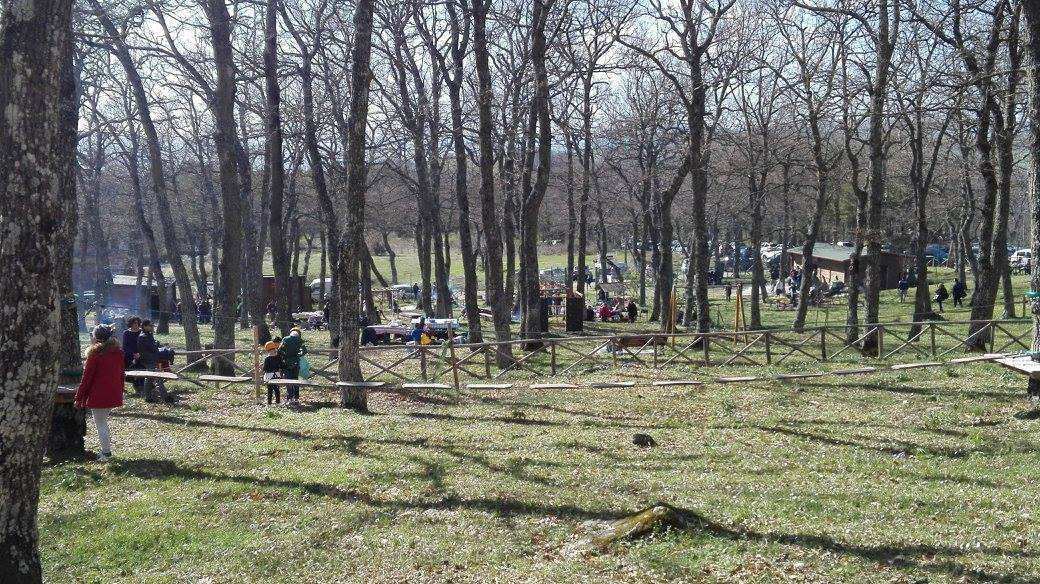 Visuale dell'area del Parco Avventura Albano di Lucania