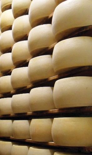 IL CALERNESE